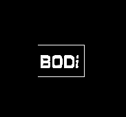 Bodi